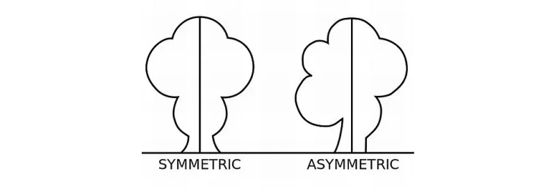 Comparison of symmetrical and asymmetrical design layouts